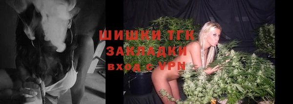 винт Новозыбков