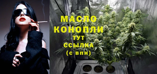 винт Новозыбков