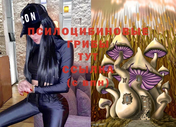 дживик Нея