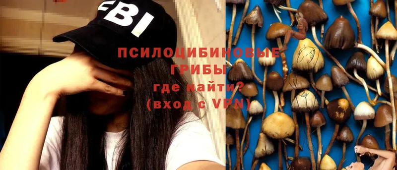 как найти   Ивдель  Псилоцибиновые грибы Magic Shrooms 