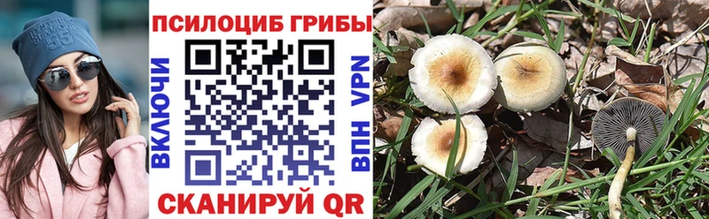Галлюциногенные грибы Cubensis  что такое наркотик  Ивдель 